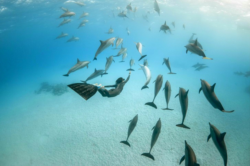 Incredible freediving in the wild