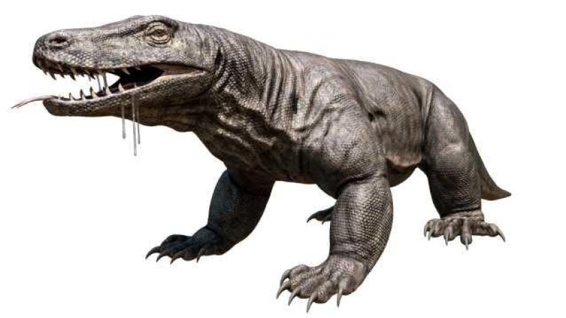 Incredible monsters of the past that lived on Earth
