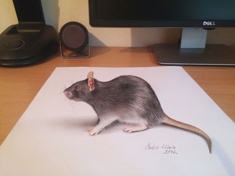 Incredibly realistic 3D drawings