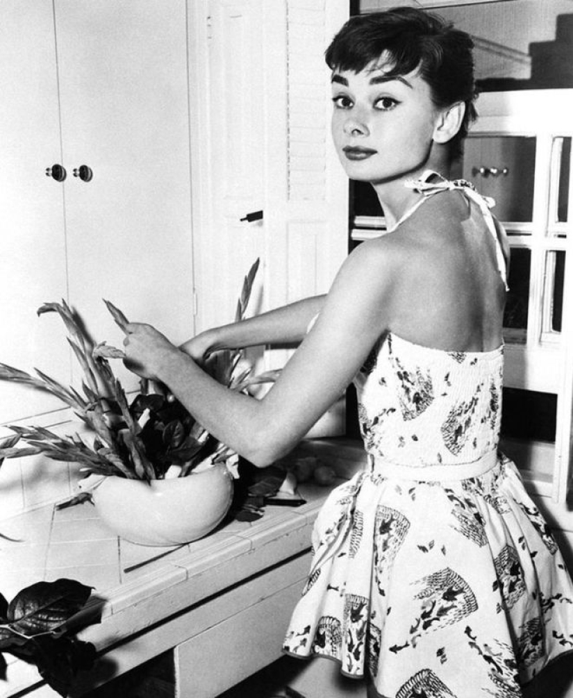 Inspiración: casero imágenes de Audrey Hepburn