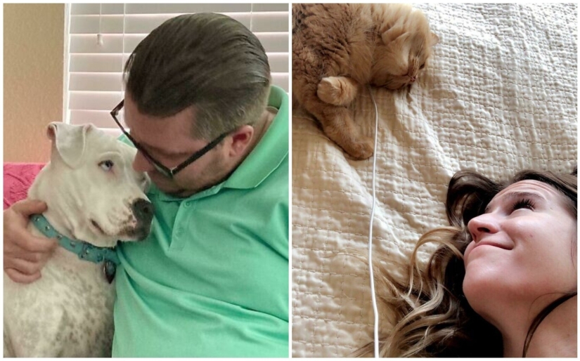Instead of sight words: 20+ Pets who deeply love their owners