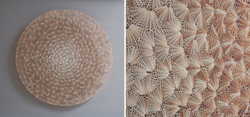 Jewelry: British artist creates stunning sculptures from thousands of seashells