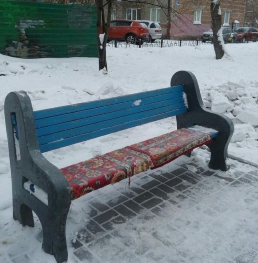 Jokes in Russian: 20 photos that will make you cry with laughter