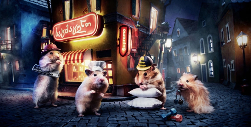 Khomyakopolis is a miniature hamster city that looks better than yours