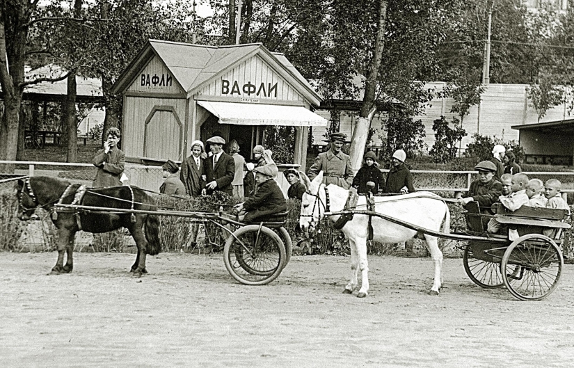 Kids in a cage: 154 years of the Moscow Zoo