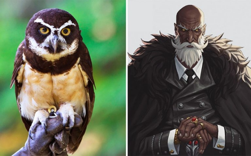 Korean Artist Turns Animals Into Original Characters That Look Like They're From Anime