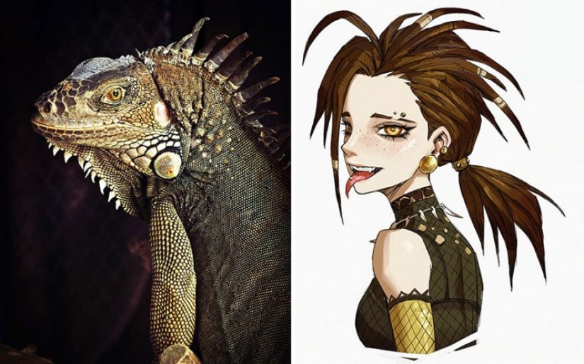 Korean Artist Turns Animals Into Original Characters That Look Like They're From Anime