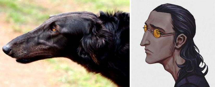 Korean Artist Turns Animals Into Original Characters That Look Like They're From Anime