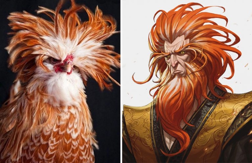 Korean Artist Turns Animals Into Original Characters That Look Like They're From Anime