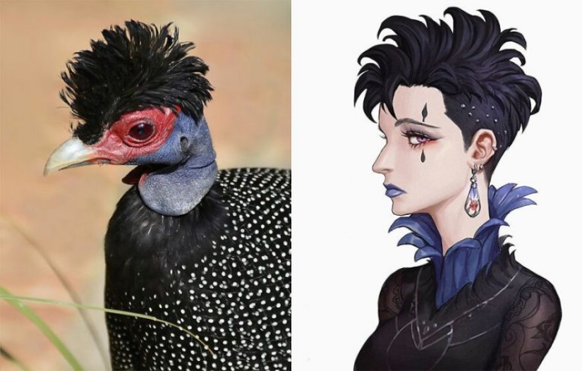 Korean Artist Turns Animals Into Original Characters That Look Like They're From Anime