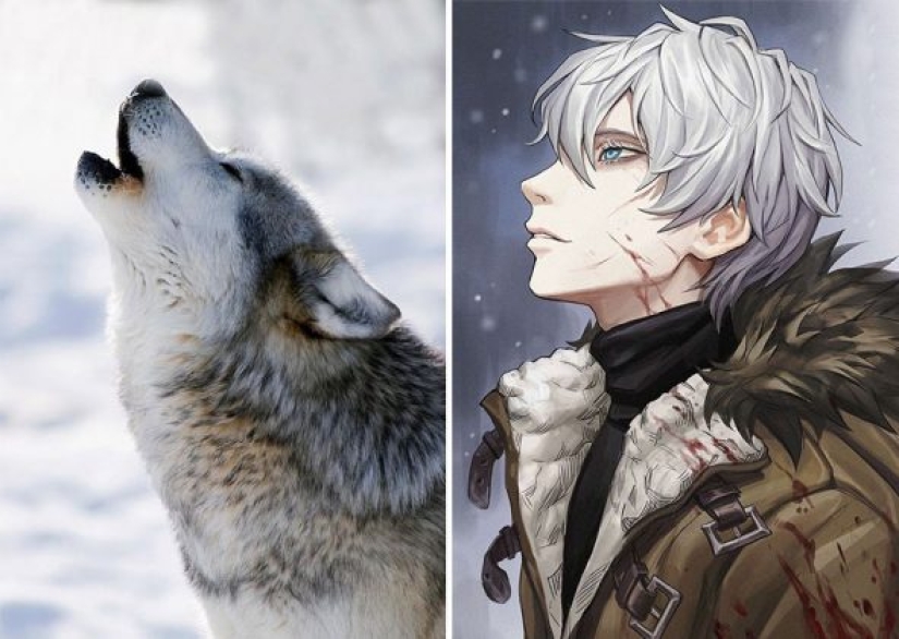 Korean Artist Turns Animals Into Original Characters That Look Like They're From Anime