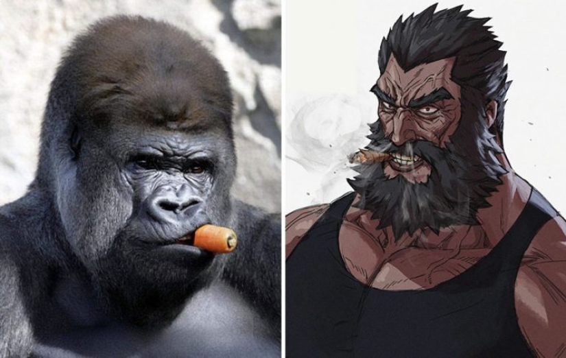 Korean Artist Turns Animals Into Original Characters That Look Like They're From Anime