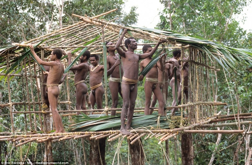 Korovai — a mysterious tribe of cannibals, who recently learned about civilization
