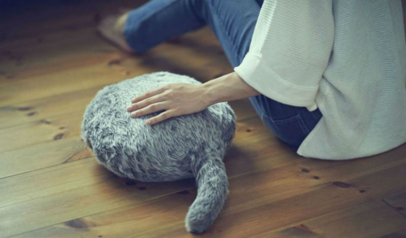 La acaricias y ronronea: los japoneses han creado una almohada sustituta para gatos