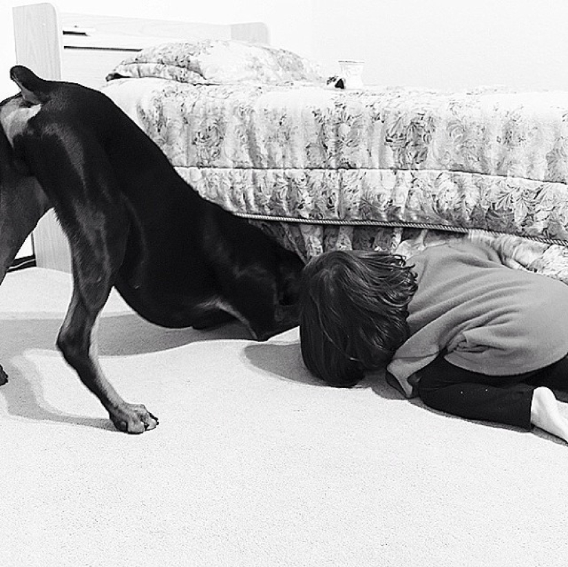 La Bella y la Bestia: la increíble amistad de una niña pequeña con un Doberman gigante