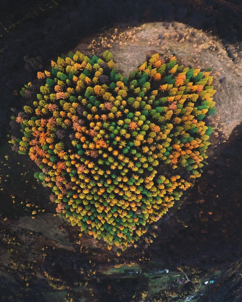 La belleza de los Cárpatos de la altura de vuelo de los pájaros