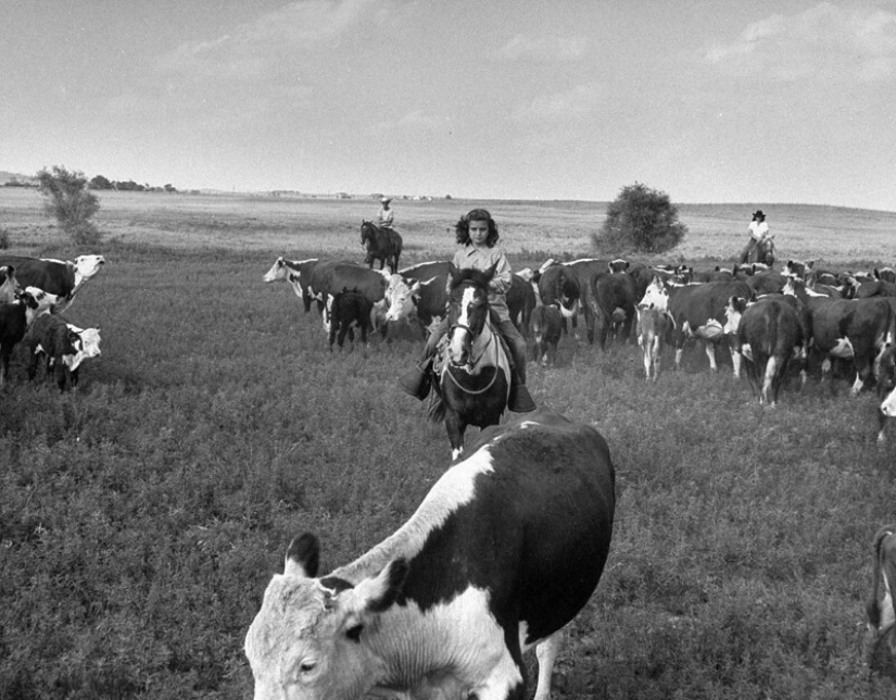 La Historia de los Primeros Vaqueros Femeninos de Texas