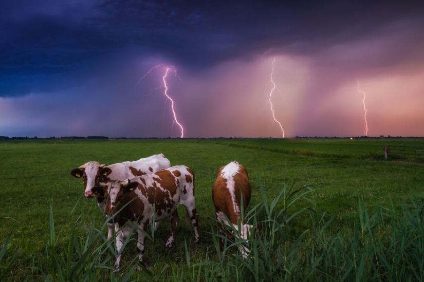 La increíble belleza de Holanda