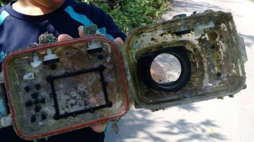 La odisea submarina de una cámara perdida: cómo tres años después la cámara regresó al propietario