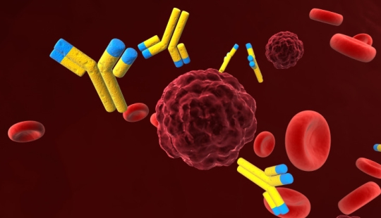 La salvación está llegando: una nueva vacuna contra el VIH ha superado con éxito las pruebas en humanos