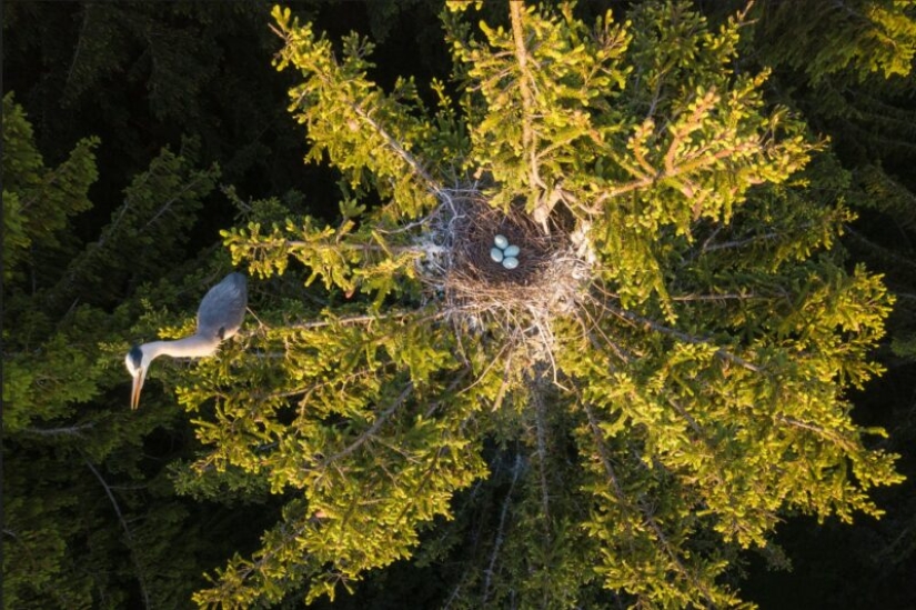 La Sociedad Geográfica Rusa ha determinado los ganadores del VII concurso de fotografía "El país más hermoso"