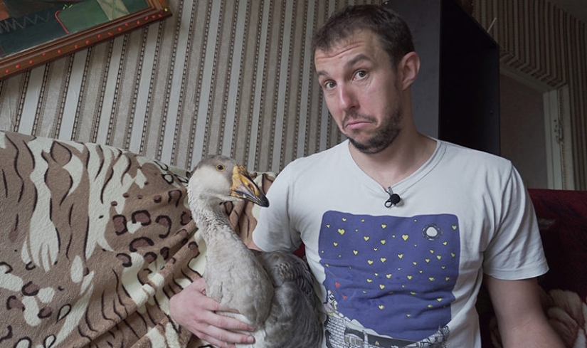 La vida con un ganso o la vida cotidiana de un bloguero de Minsk