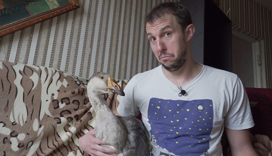 La vida con un ganso o la vida cotidiana de un bloguero de Minsk La vida con un ganso o la vida cotidiana de un bloguero de Minsk