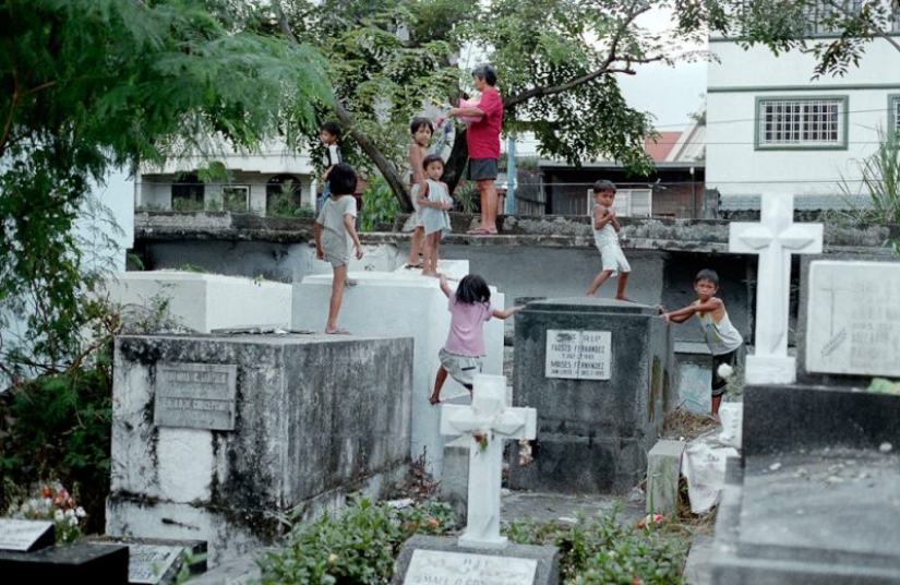 La vida en el cementerio: 13 fotos