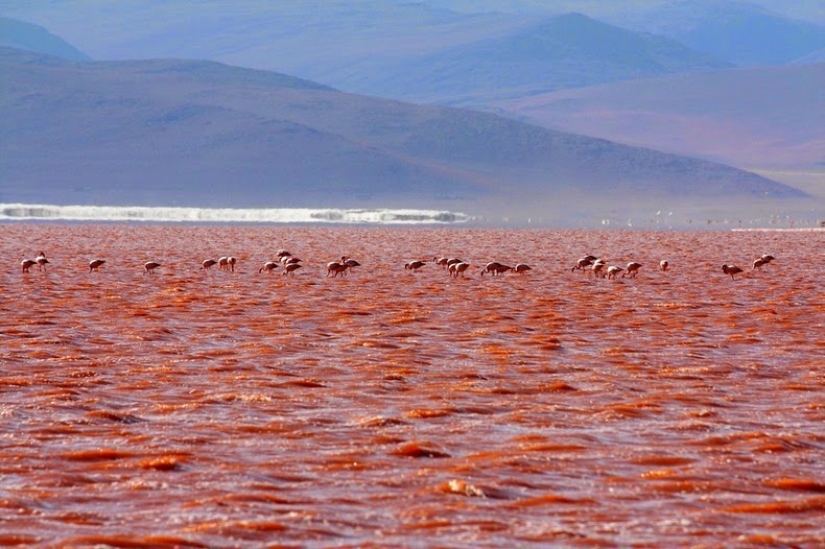 Laguna Sangrienta en Bolivia