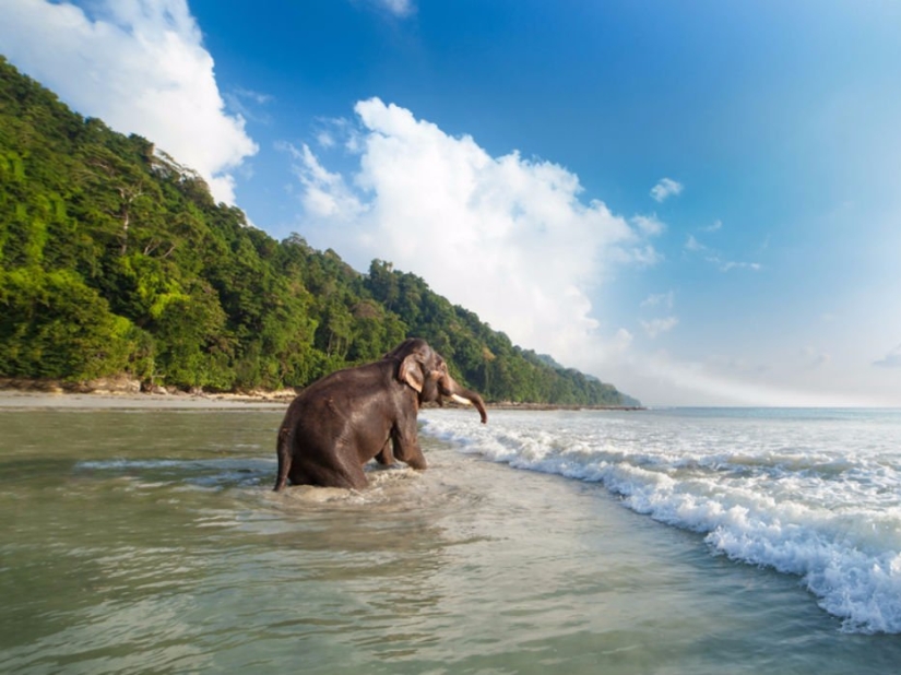 Las 11 mejores playas de Asia