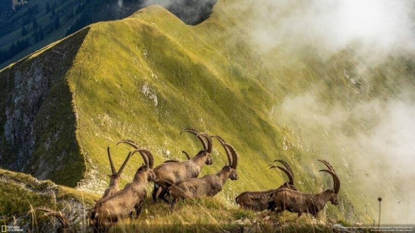 las 26 mejores fotos del Concurso de Fotografía de Viajes de National Geographic 2019