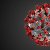 Las 5 teorías más locas de la aparición del coronavirus