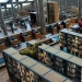 Las aventuras egipcias de Lovygin continúan: un viaje a la Biblioteca de Alejandría