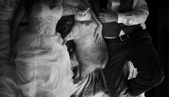 Las imágenes de boda más brillantes que nunca entrarán en el álbum familiar