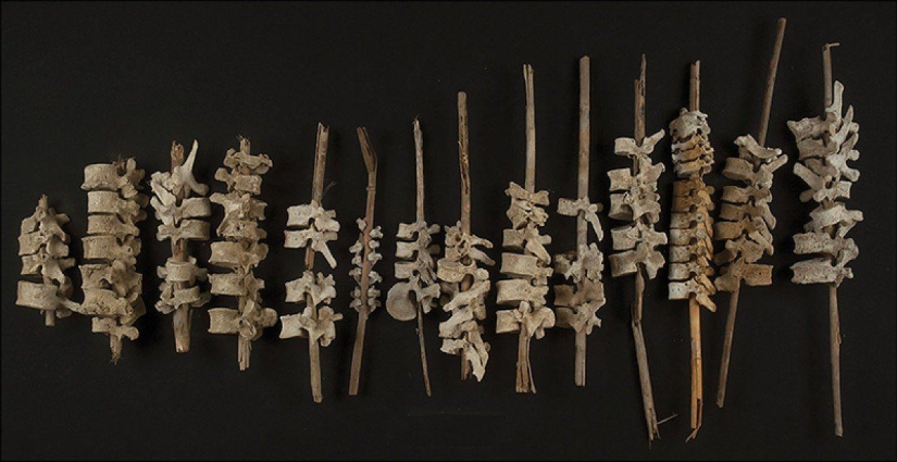 Las instalaciones de espinas humanas encontradas en Perú sorprendieron a los arqueólogos