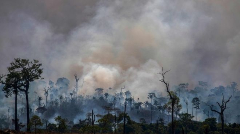 Leonardo DiCaprio was accused of setting fire to the Amazon jungle