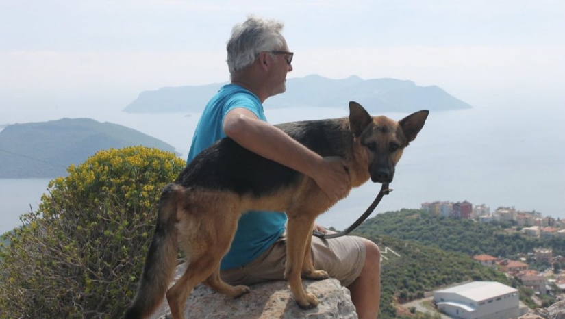 Life hack for travelers: how animal lovers can find free housing abroad