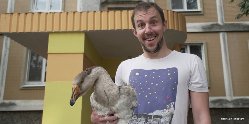 Life with a goose or the everyday life of a Minsk blogger