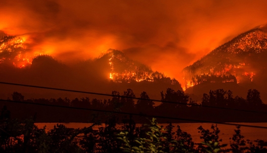 Lit it not childishly: cómo un adolescente ucraniano quemó un bosque estadounidense por $37 millones