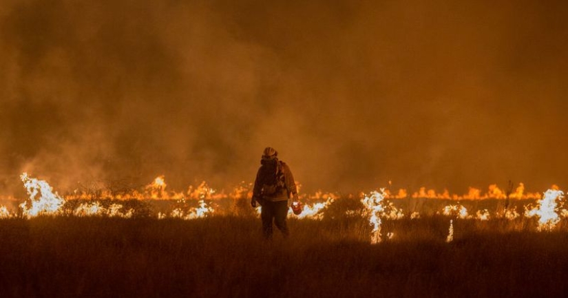 Lit it not childishly: how a Ukrainian teenager burned an American forest for $37 million