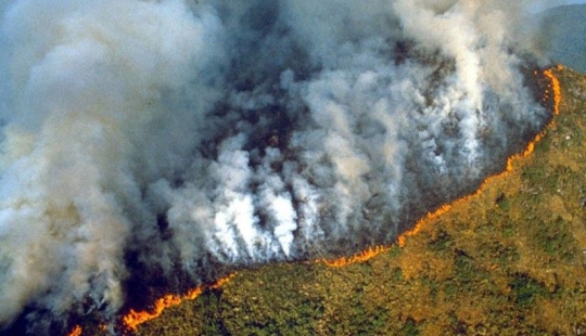 Lluvia de cenizas y eclipse: Brasil se ahoga en humo debido a incendios en la selva amazónica