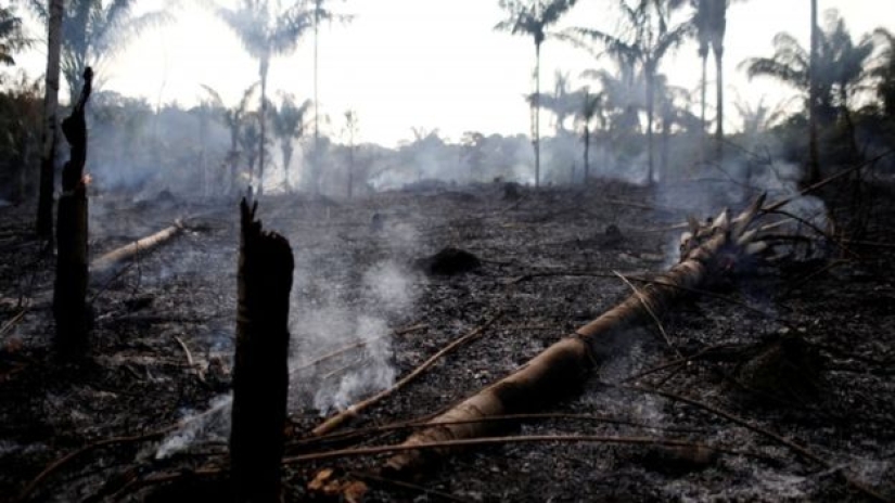Lluvia de cenizas y eclipse: Brasil se ahoga en humo debido a incendios en la selva amazónica