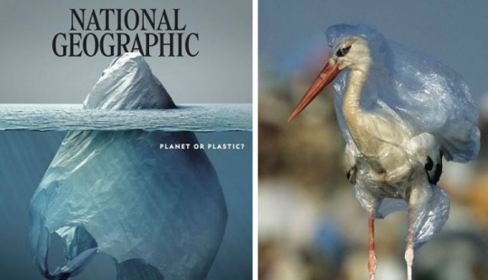 Lo más aterrador por dentro: lo que esconde la portada del nuevo número de la revista National Geographic
