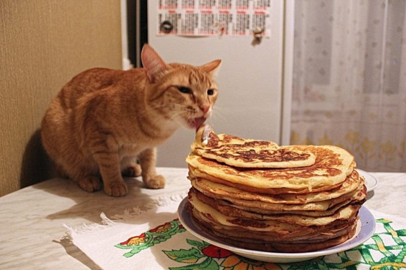 Look at you, Maslenitsa! Well, let's go jokes about pancakes