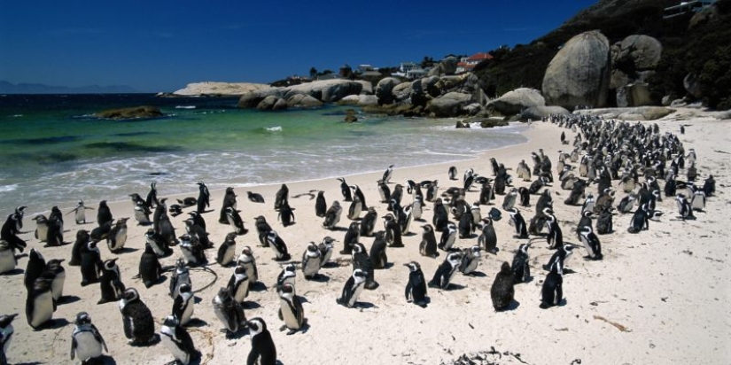 Los 10 mejores lugares para visitar en Sudáfrica