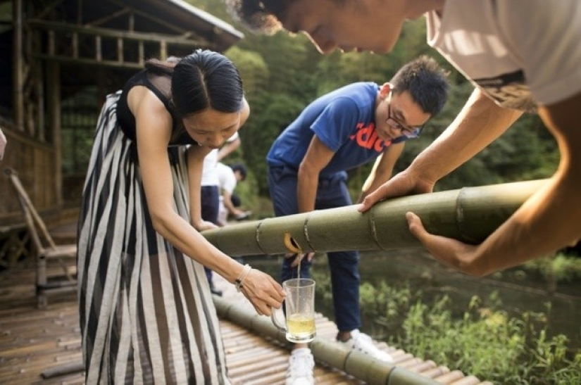 Los chinos han aprendido a producir alcohol medicinal dentro de un bambú vivo