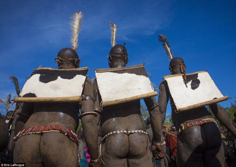 Los hombres de la tribu etíope beben sangre con leche para obtener el título de habitante más gordo de la aldea