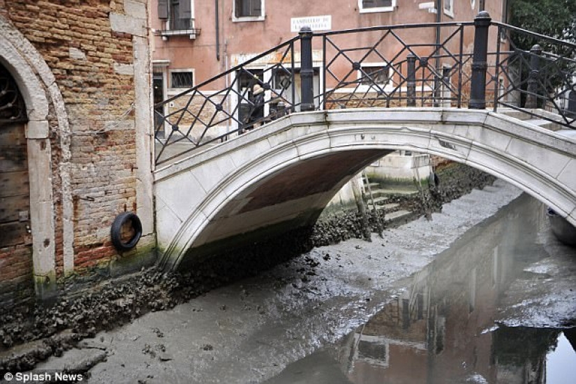 Los legendarios canales de Venecia se están secando debido a un clima anormal
