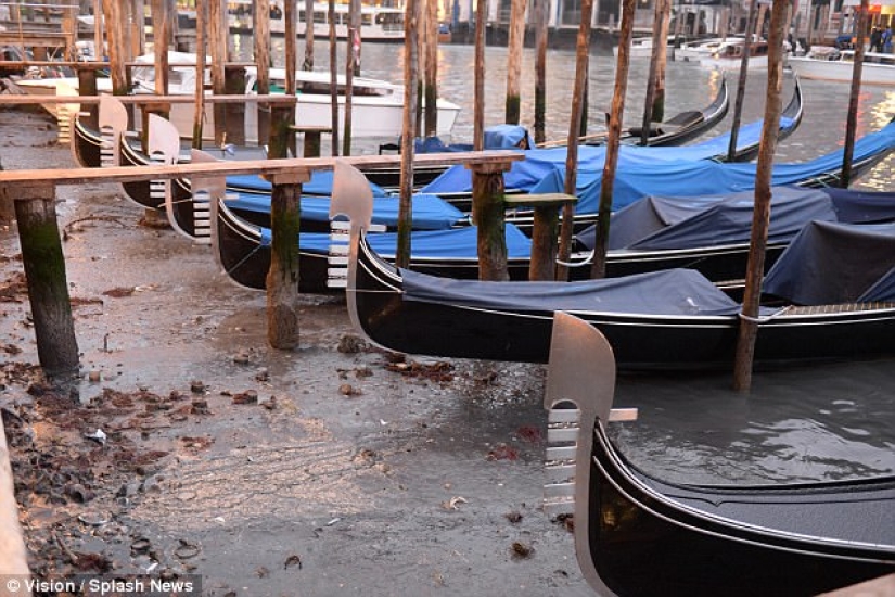 Los legendarios canales de Venecia se están secando debido a un clima anormal