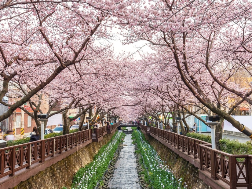 Los lugares más bellos de Corea del Sur